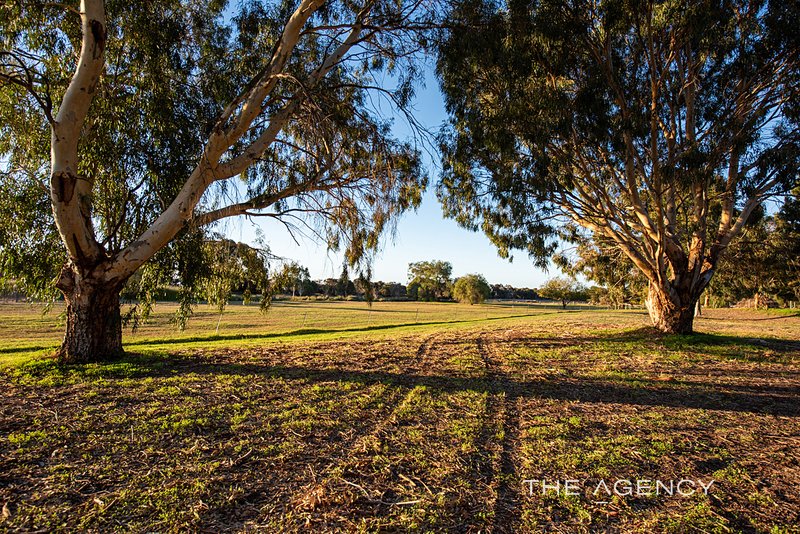 Photo - 63 Osprey Drive, Reinscourt WA 6280 - Image 29
