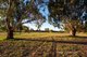 Photo - 63 Osprey Drive, Reinscourt WA 6280 - Image 29