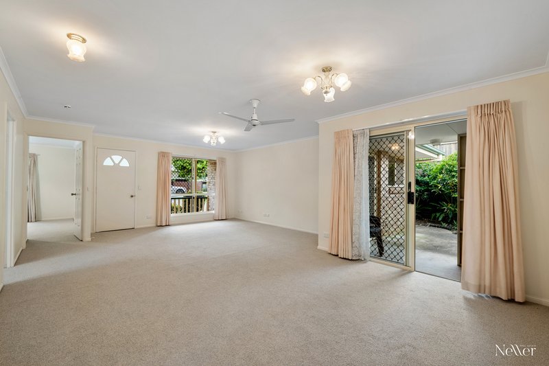 Photo - 63 Parakeet Crescent, Peregian Beach QLD 4573 - Image 4