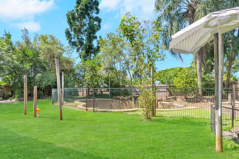 Photo - 63 Ravizza Drive, Edmonton QLD 4869 - Image 13