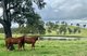 Photo - 63 Seibenhausen Road, Goomeri QLD 4601 - Image 1