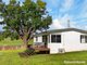 Photo - 63 Tyalgum Road, Byangum NSW 2484 - Image 11