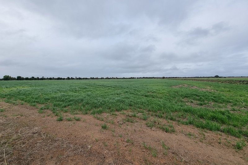 Photo - 63 Verrucosa Parade, Hopetoun WA 6348 - Image 9