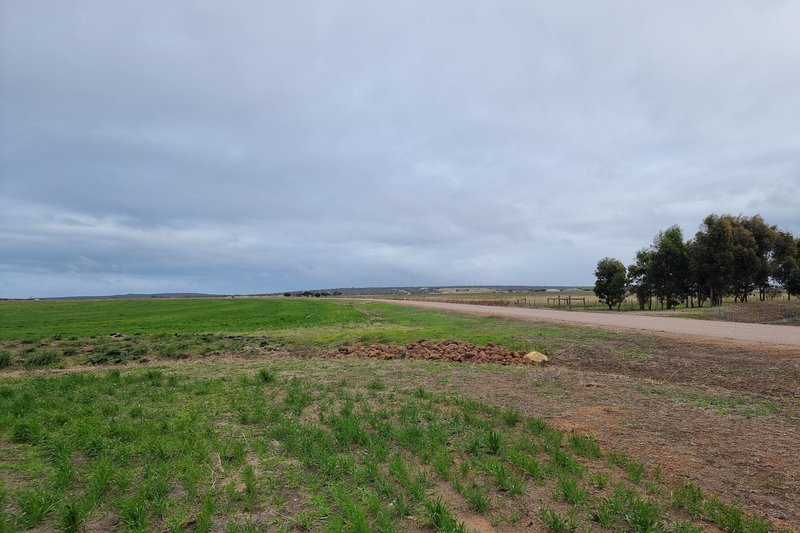 Photo - 63 Verrucosa Parade, Hopetoun WA 6348 - Image 6