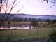 Photo - 63 Williams River Close, Clarence Town NSW 2321 - Image 16