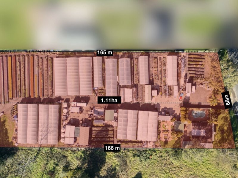 Photo - 63 Wills Road, Long Point NSW 2564 - Image 1