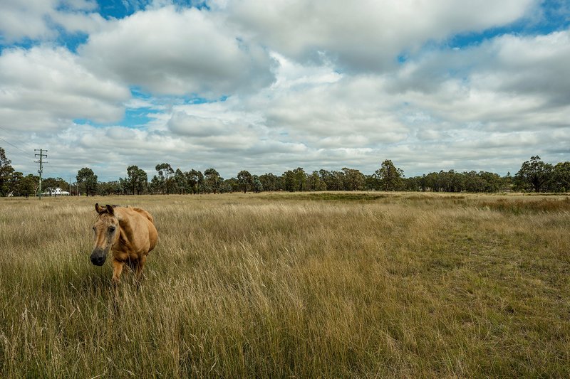 Photo - 63 Wyoming Lane, Gulgong NSW 2852 - Image 23