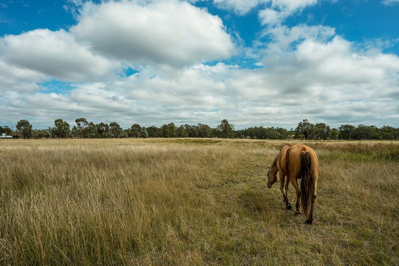 Photo - 63 Wyoming Lane, Gulgong NSW 2852 - Image 26