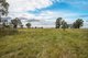 Photo - 63 Wyoming Lane, Gulgong NSW 2852 - Image 33