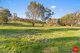 Photo - 630 Calder Alternative Highway, Lockwood South VIC 3551 - Image 24