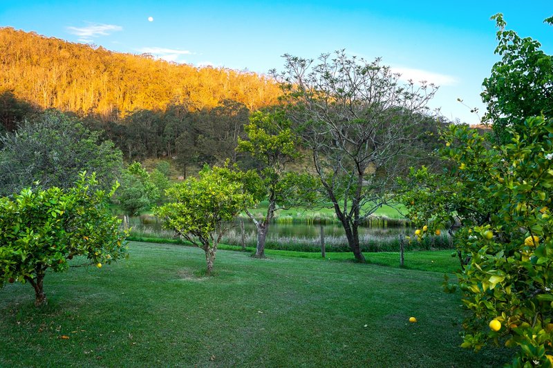 Photo - 630 Terreel Road, Wards River NSW 2422 - Image 14