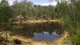 Photo - 6308 Putty Road, Howes Valley NSW 2330 - Image 3