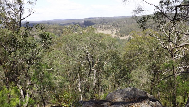 Photo - 6308 Putty Road, Howes Valley NSW 2330 - Image 7