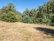 Photo - 631 Gunns Plains Road, Gunns Plains TAS 7315 - Image 14