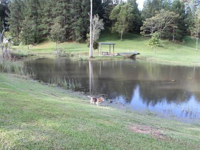 631 Nobbys Creek Road, Nobbys Creek NSW 2484 Real Estate Industry