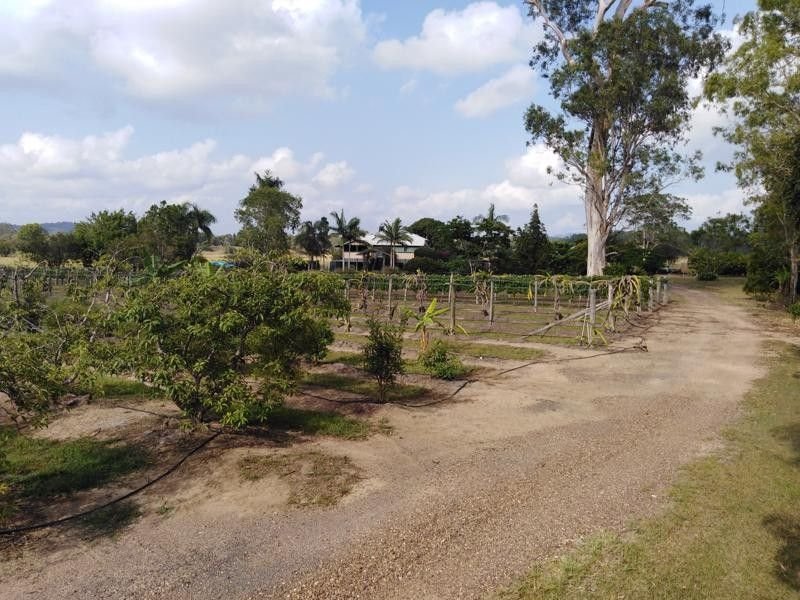 Photo - 632 Doonan Bridge Road North, Doonan QLD 4562 - Image 6