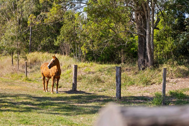 Photo - 633 Blanchview Road, Blanchview QLD 4352 - Image 17