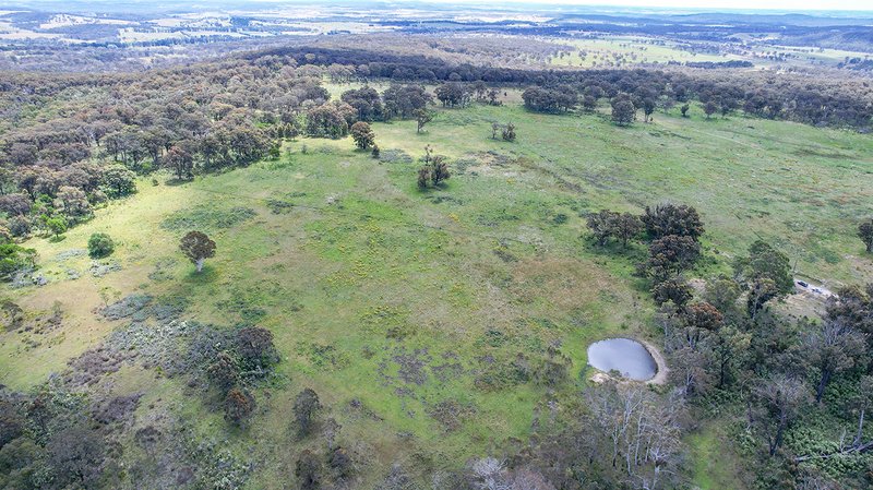 Photo - 633 Hanging Rock Road, Paddys River NSW 2577 - Image 6