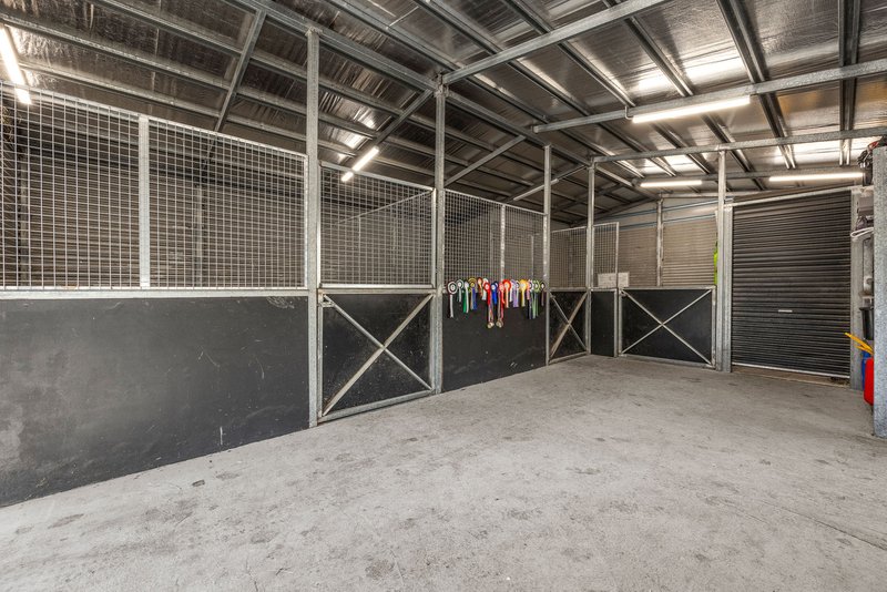 Photo - 634 Stumpy Gully Road, Tuerong VIC 3915 - Image 17