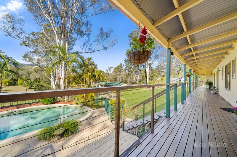 Photo - 635-643 Plunkett Road, Cedar Creek QLD 4207 - Image 3