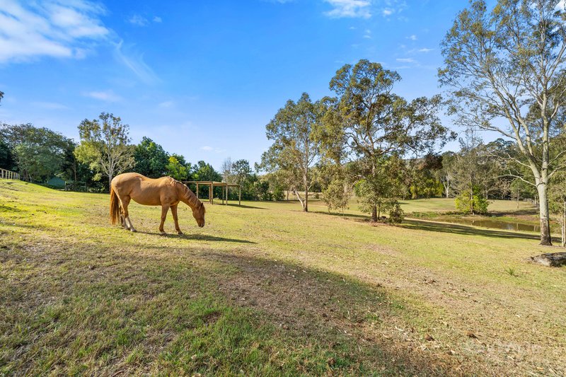 Photo - 635-643 Plunkett Road, Cedar Creek QLD 4207 - Image 30