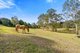 Photo - 635-643 Plunkett Road, Cedar Creek QLD 4207 - Image 30