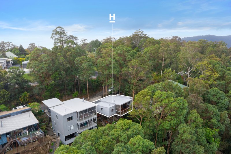 Photo - 635 Beechmont Road, Lower Beechmont QLD 4211 - Image 3