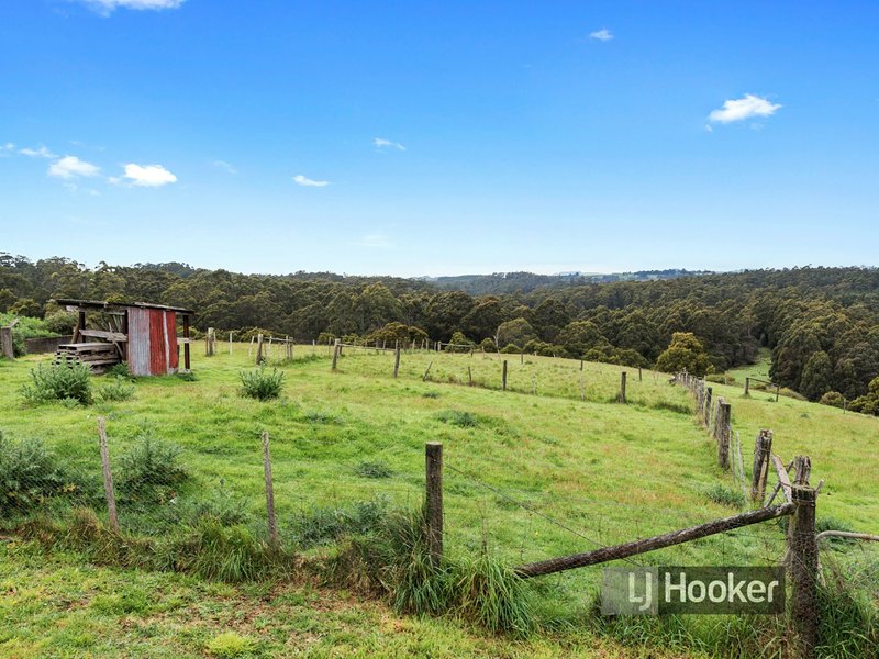 Photo - 635 Calder Road, Wynyard TAS 7325 - Image 19