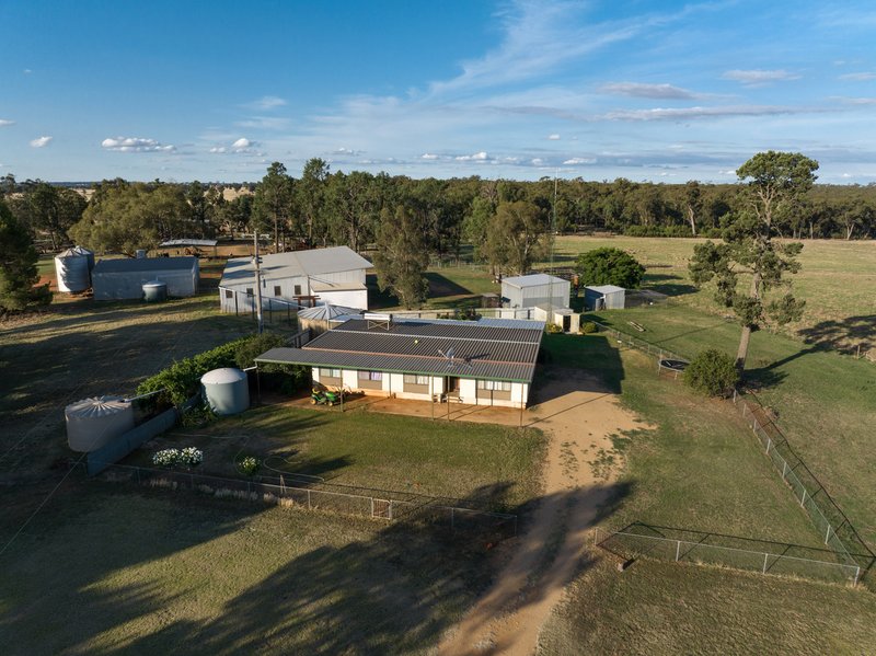 Photo - 635 Curries Lane, Milbrulong NSW 2656 - Image 3