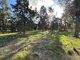 Photo - 635 Curries Lane, Milbrulong NSW 2656 - Image 20