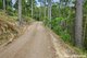 Photo - 635 Upper Pinbarren Creek Road, Kin Kin QLD 4571 - Image 13