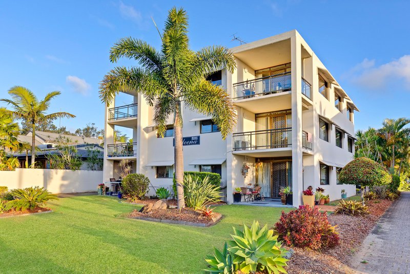 Photo - 6/353 Bradman Avenue, Maroochydore QLD 4558 - Image 3