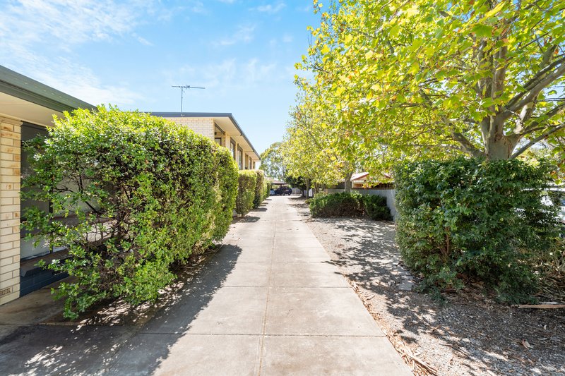 Photo - 6/36 Murray Terrace, Oaklands Park SA 5046 - Image 25