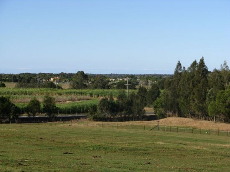 Photo - 636 Petrie Creek Road, Rosemount QLD 4560 - Image 4