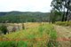 Photo - 637 Dees Road, Belbora NSW 2422 - Image 7