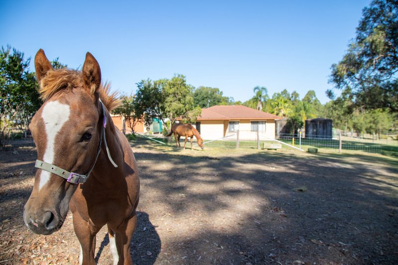 638 Glen Wiliam Road, Glen William Via , Clarence Town NSW 2321