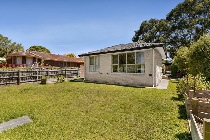 Photo - 64 Amelia Avenue, Wheelers Hill VIC 3150 - Image 10