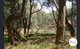 Photo - 64 Arcadia Downs Drive, Kialla VIC 3631 - Image 14