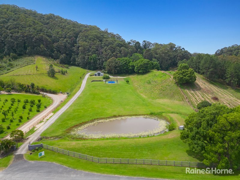 Photo - 64 Cabbage Gum Road, Cudgera Creek NSW 2484 - Image 32