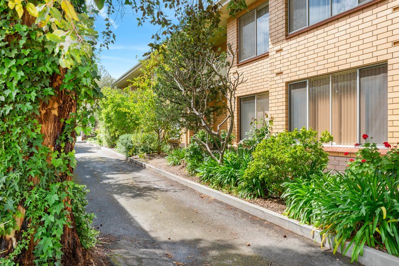 6/4 Collyer Court, Linden Park SA 5065