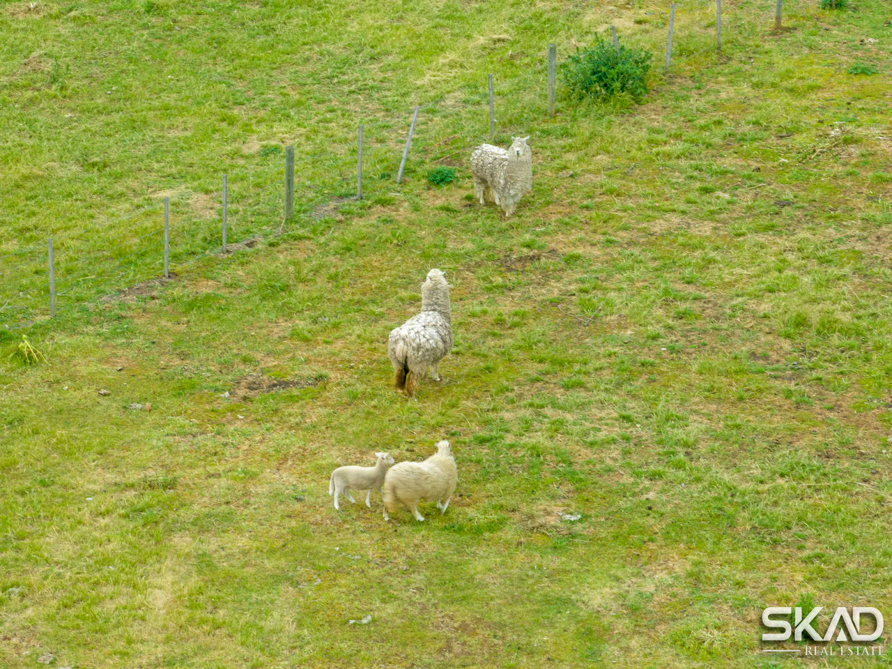 1-bedroom house at 64 Darraweit Valley Road, Darraweit Guim, VIC 3756, Macedon Ranges, Victoria
