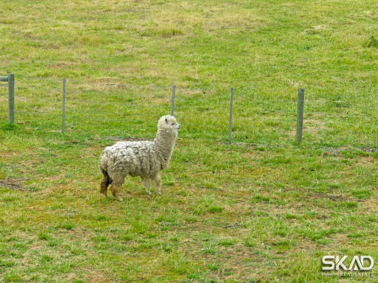 1-bedroom house at 64 Darraweit Valley Road, Darraweit Guim, VIC 3756, Macedon Ranges, Victoria