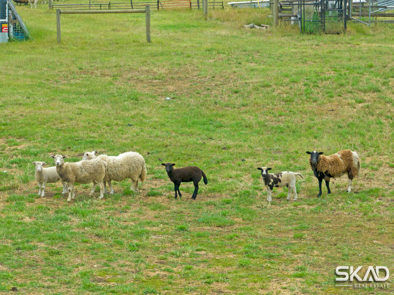 1-bedroom house at 64 Darraweit Valley Road, Darraweit Guim, VIC 3756, Macedon Ranges, Victoria
