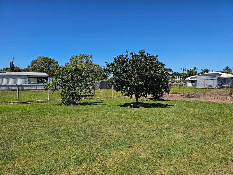 Photo - 64 Eleventh Avenue, Home Hill QLD 4806 - Image 20