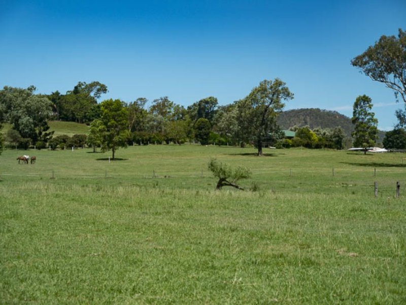 Photo - 64 Farringdon Road, Christmas Creek QLD 4285 - Image 20