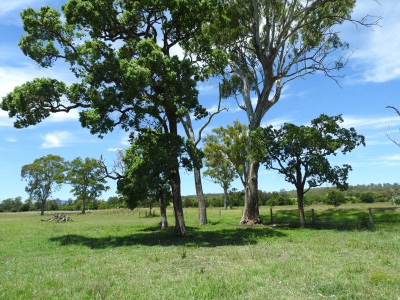 Photo - 64 Farringdon Road, Christmas Creek QLD 4285 - Image 23