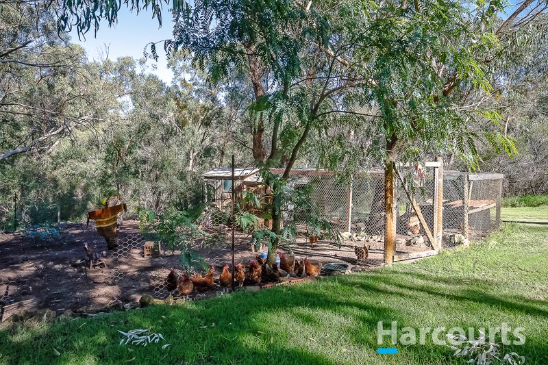 Photo - 64 Jade Loop, Carabooda WA 6033 - Image 18