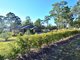 Photo - 64 John Lane Road, Yarravel NSW 2440 - Image 14