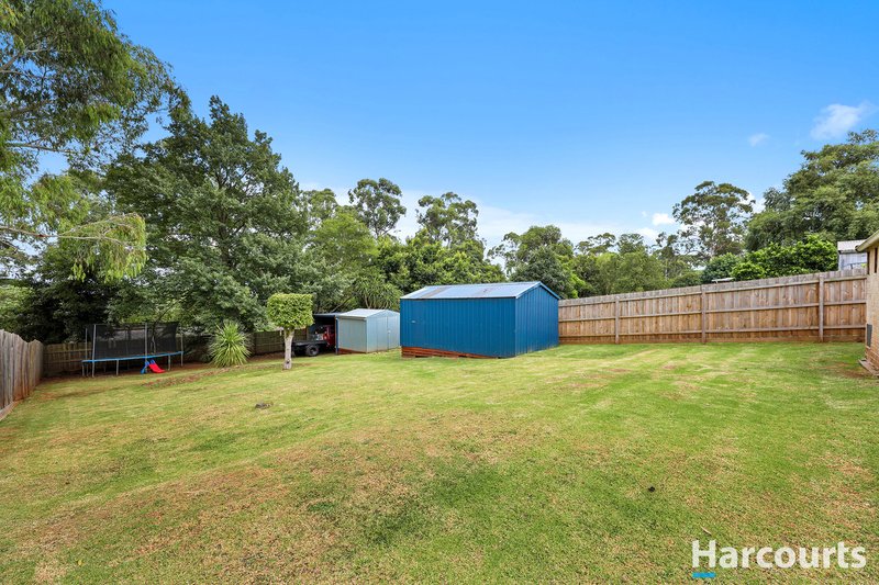 Photo - 64 Longwarry Road, Drouin VIC 3818 - Image 12