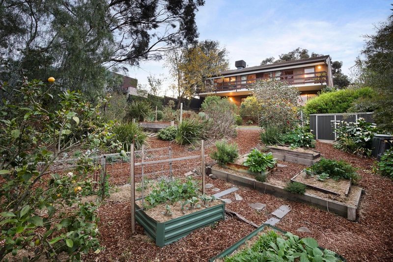 Photo - 64 Lucerne Crescent, Alphington VIC 3078 - Image 2